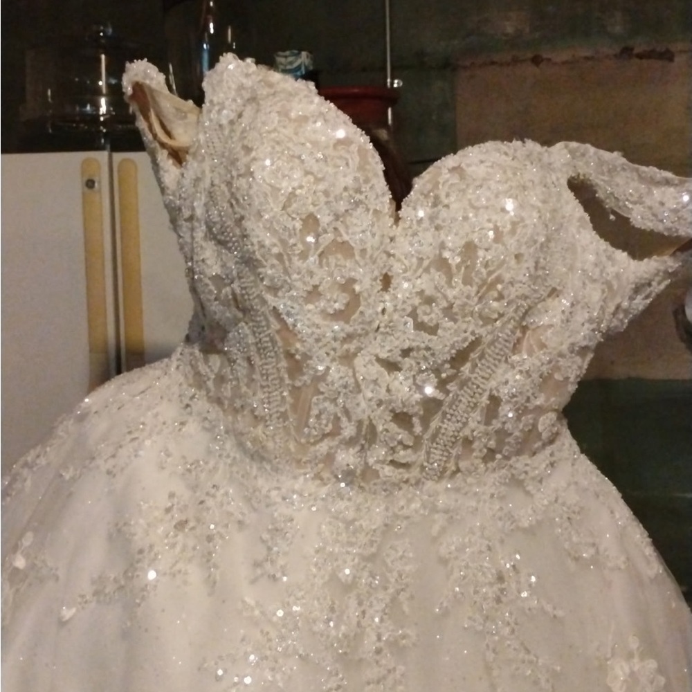 Stunning Ivory Sequin Wedding Dress - Picture 15 of 16